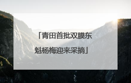 青田首批双膜东魁杨梅迎来采摘